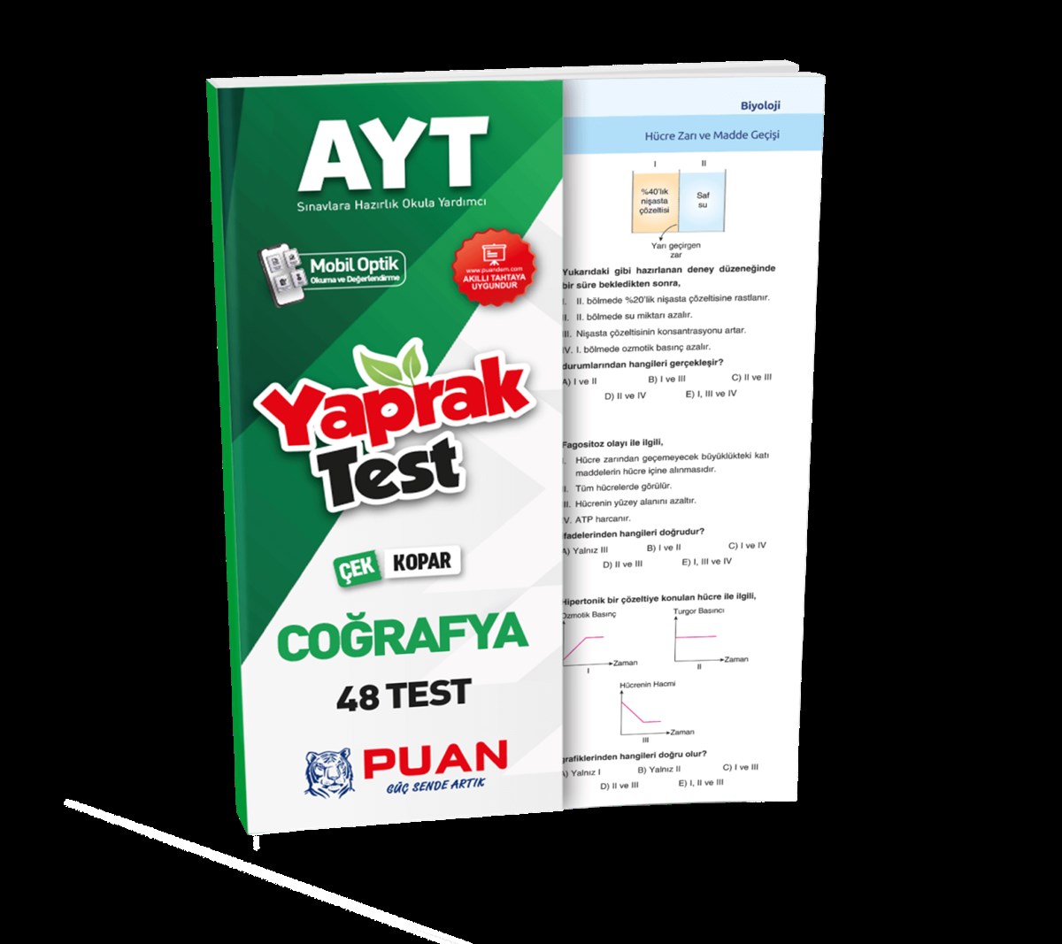 Puan Ayt Puan Coğrafya Yaprak Test